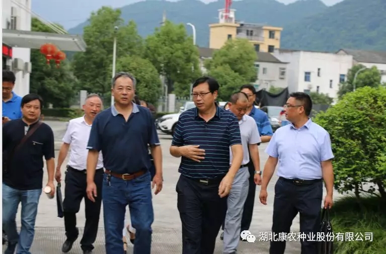 1604375278192226.jpg 723a9ef6-a0bb-42b6-bccc-3376a6bdeec8.jpg