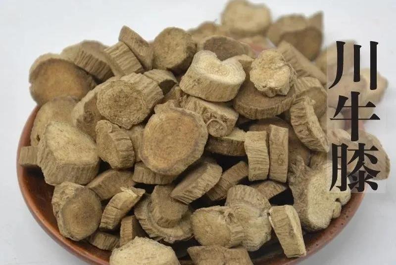 1604375881170852.jpg 微信图片_20201103115624.jpg