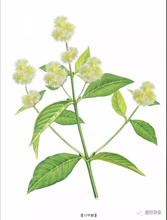 1604375900869535.jpg 微信图片_20201103115628.jpg