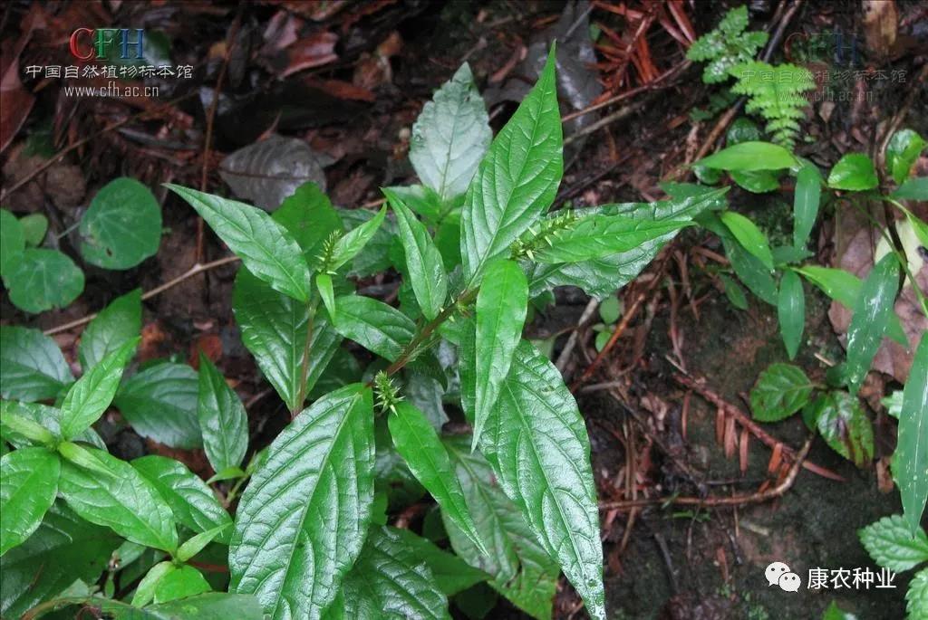 1604375924431899.jpg 微信图片_20201103115631.jpg