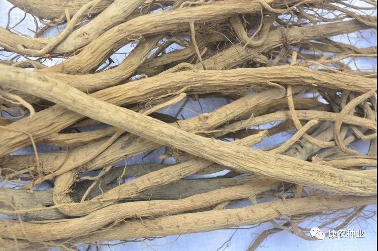 1604375975337869.jpg 微信图片_20201103115640.jpg