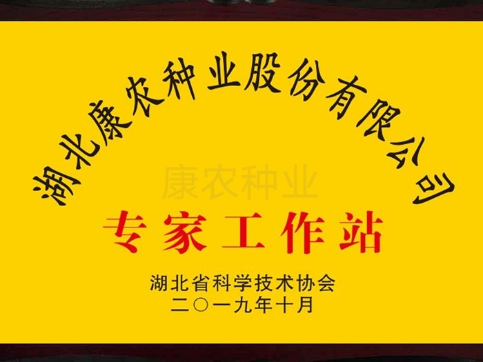 皇冠24500足球专家工作站