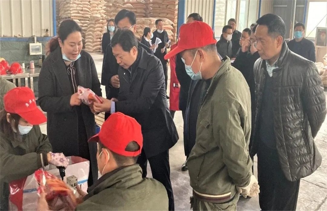 1616121742137038.jpg 视察2.webp_副本.jpg