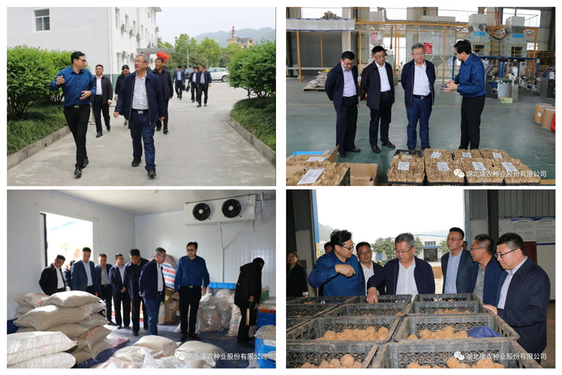 1618994690320835.jpg 副本.jpg