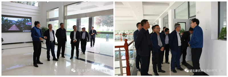 1618994711396787.jpg 7_副本.jpg