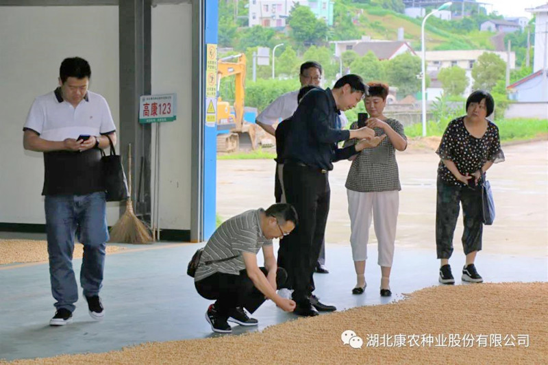 1623405708184480.jpg 3.jpg