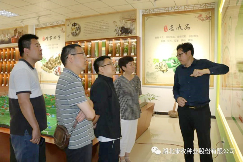 1623405716646435.jpg 4.jpg