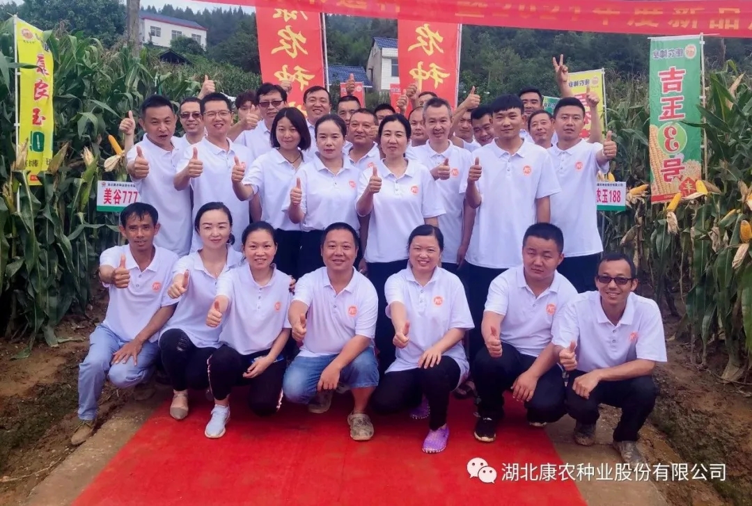 1630634826124362.jpg 康农4.webp.jpg