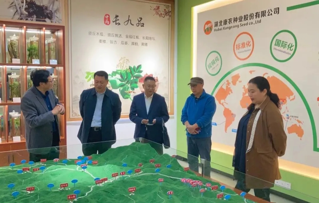 1634281216507778.jpg 1.webp.jpg