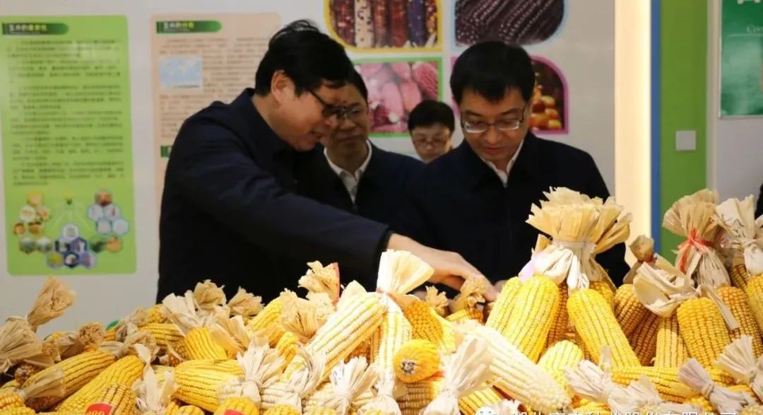 1646278054149625.jpg 11.jpg