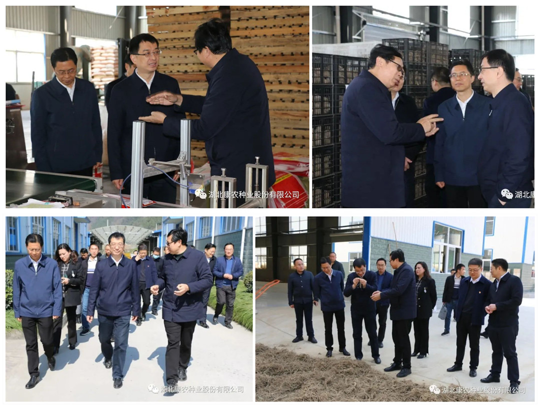 1646278099109427.jpg 44.jpg