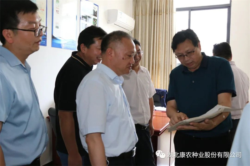 1655453138169412.jpg 3.jpg