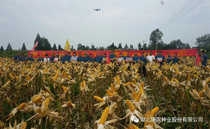 1690875442461029.jpg 微信图片_20230801153505.jpg