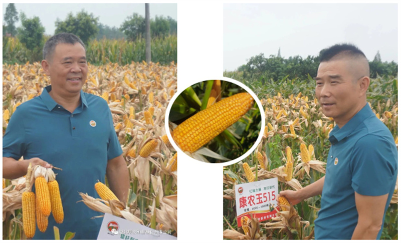 1690875545214133.jpg 79d6efe5ddbce0ade77646d4d03e61f.jpg