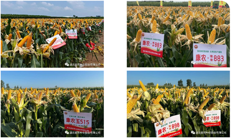 1691977280180008.jpg a40d38565db39f168db94f635365e37.jpg