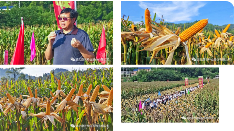 1691979526169544.jpg 884efb89cd01f318bc5aee35bebdf55.jpg