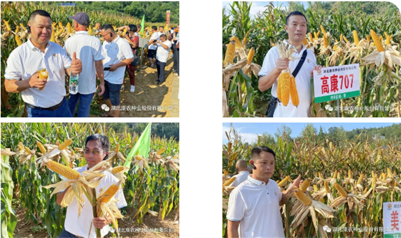 1691979540149971.jpg e05e38a619b9829adbfd483ba287ec5.jpg