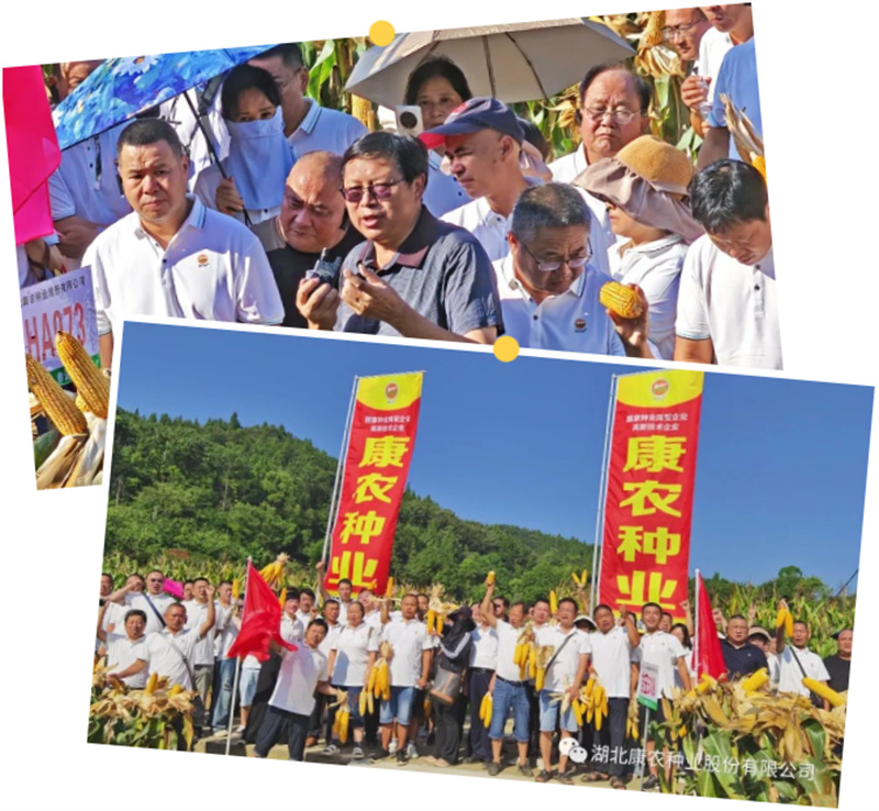 1691979562384475.jpg 1691978275158.jpg