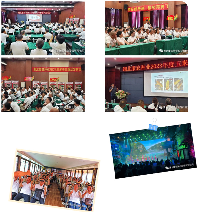 1691979586204704.jpg 1691978304827.jpg