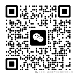 1706149730143545.jpg 9.jpg