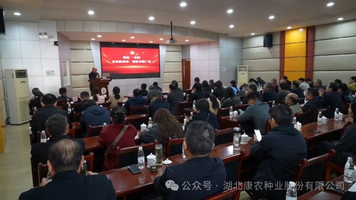 1733897340144415.jpg 2.jpg