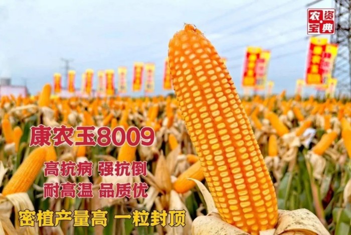 1733897467361121.jpg 9.jpg