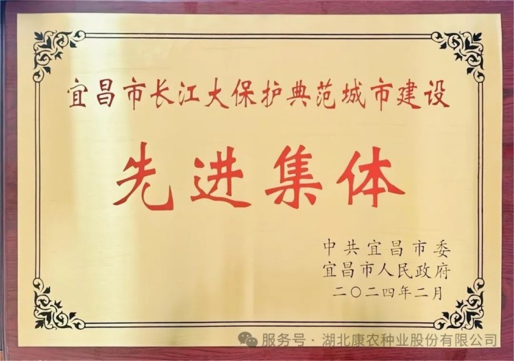 1739169315981893.jpg 8.jpg