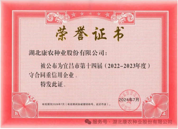 1739169352108713.jpg 10.jpg