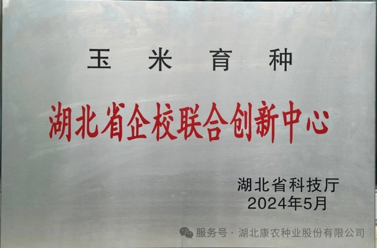 1739169399255083.jpg 11.jpg