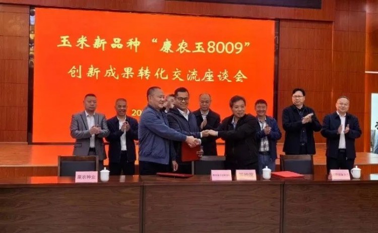 1739169422155288.jpg 12.jpg