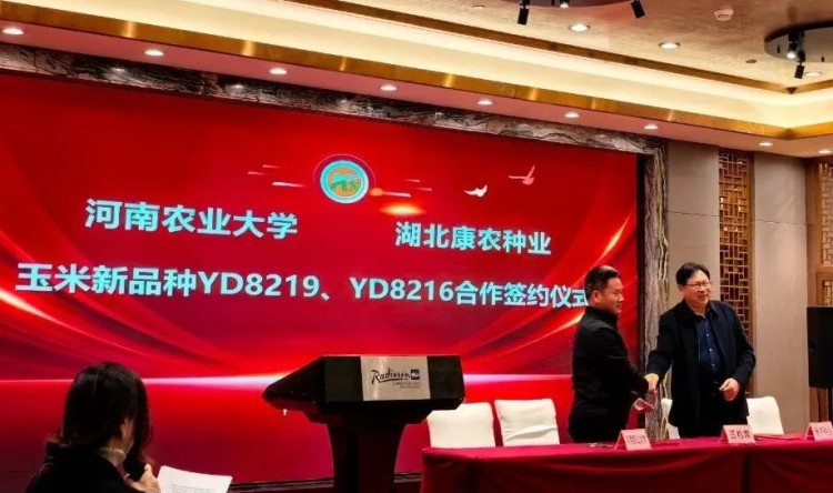 1739169436184558.jpg 13.jpg