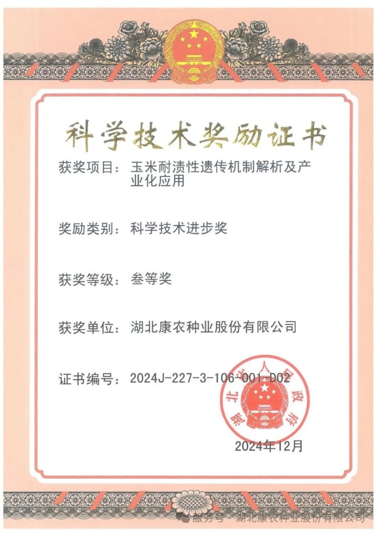 1739169505151580.jpg 16.jpg