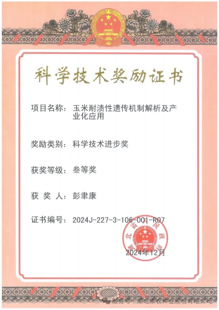 1739169557181875.jpg 19.jpg