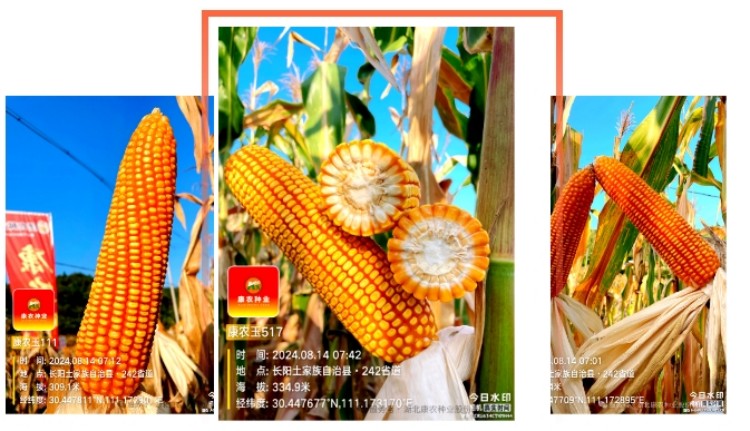 1739169683750959.jpg 25.jpg