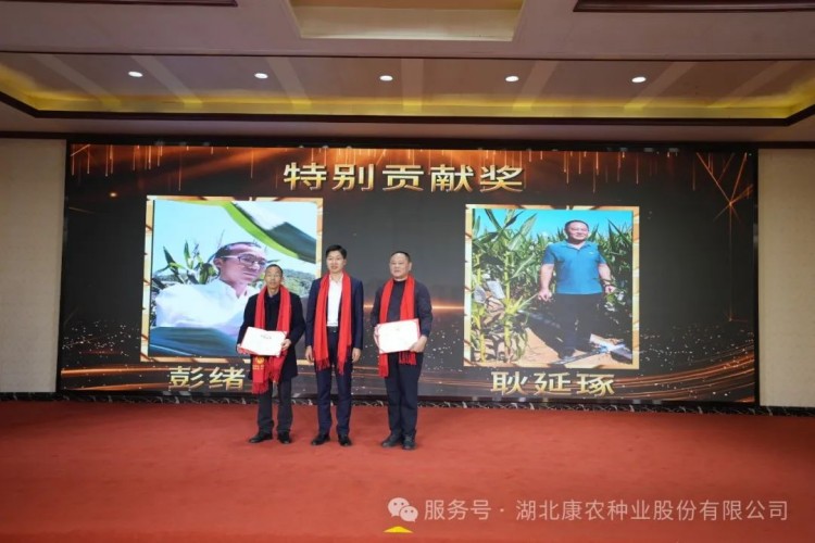 1739258256212183.jpg 11.jpg