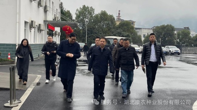 1741070879150665.jpg 1.jpg