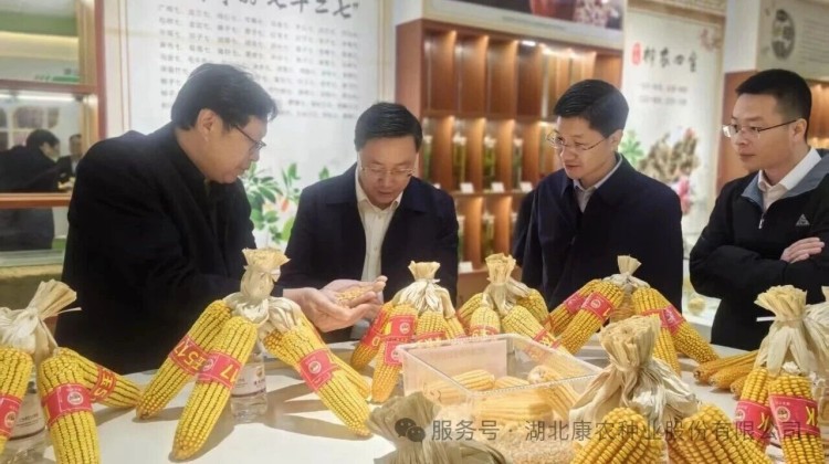 皇冠24500足球党委副书记、总经理赵芝斌一行赴康农种业考察调研