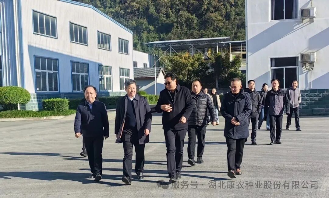 省粮食局局长易俊东一行莅临康农种业调研指导