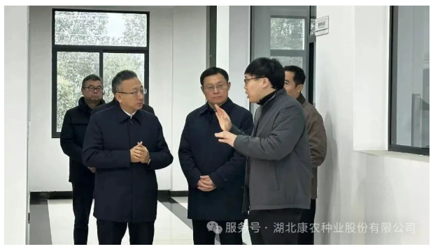 宜昌市副市长曹宏伟一行莅临康农种业调研指导