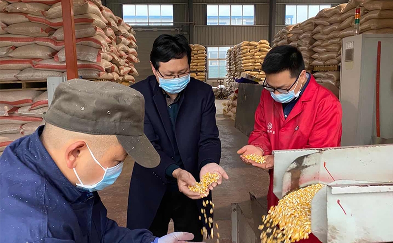 Production line inspection