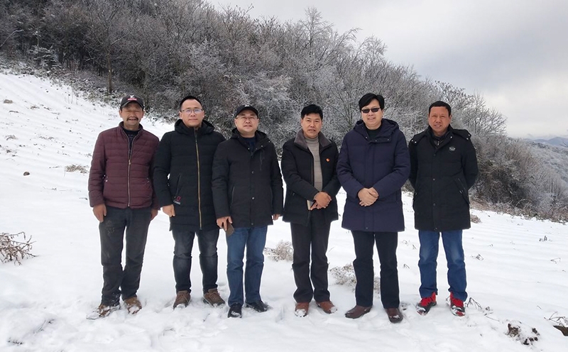 Ruixue Zhaofeng Year