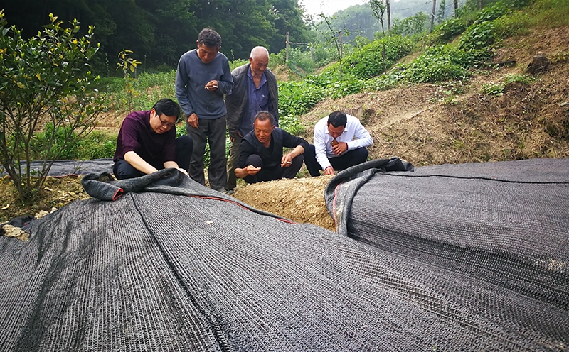 Mr. Peng integrates into the grassroots