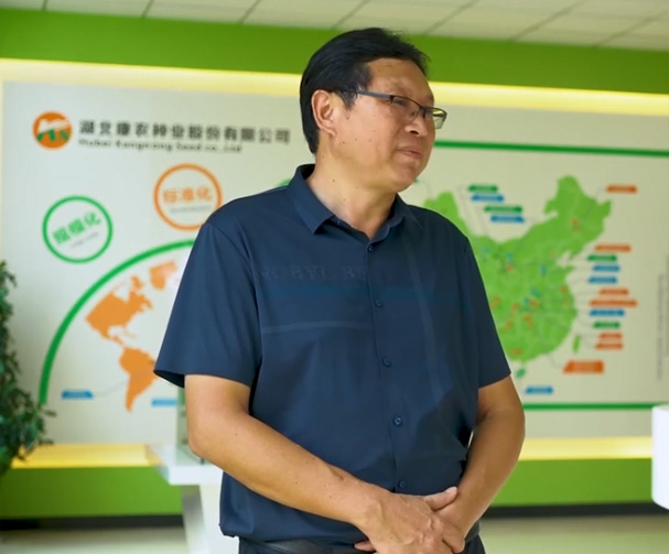 Maize Breeding Techniques of Kangnong Seed Industry in Changyang, Hubei