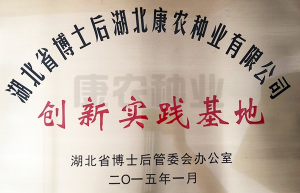 Hubei Province Postdoctoral Innovation Practice Base