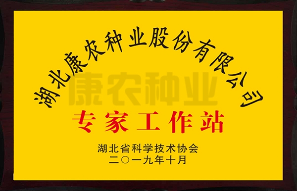 Hubei Kangnong Seed Industry Co., Ltd. Expert Workstation