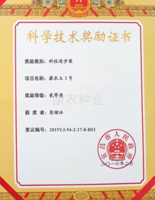 Science and Technology Progress Award