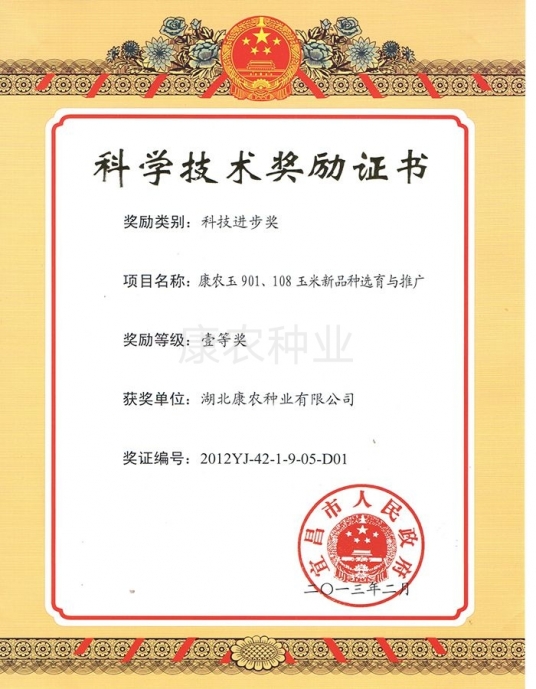 First Prize of Science and Technology Progress