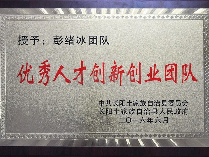 Excellent talent innovation and entrepreneurship team