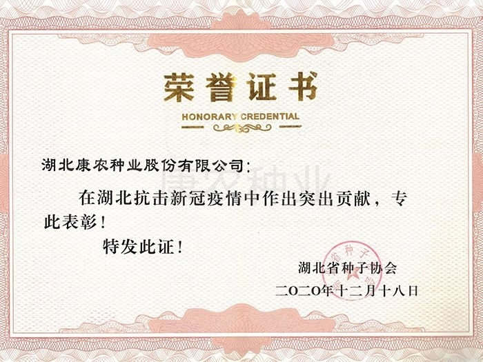 2020-Outstanding Contribution Award for Anti-epidemic