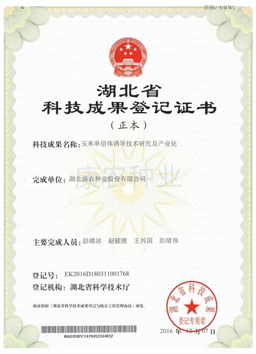 Maize haploid induction technology research and industrialization (original)